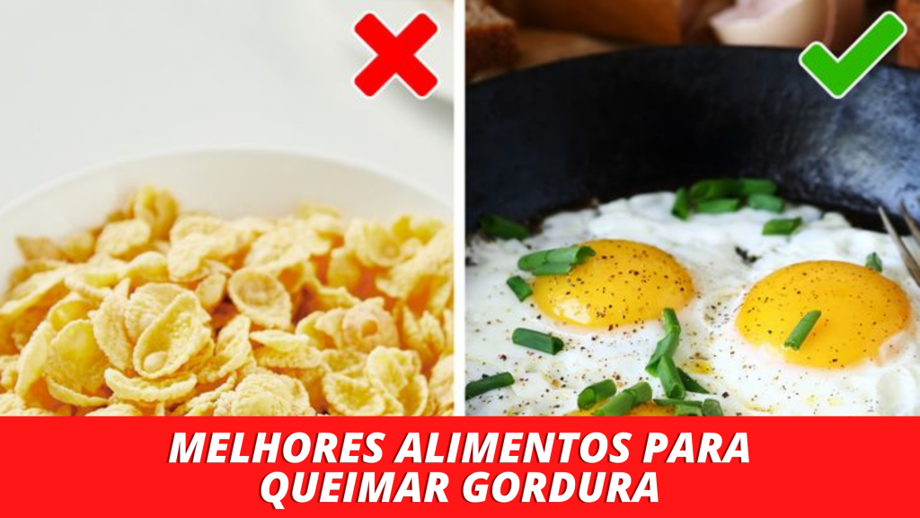 Melhores Alimentos Para Queimar Gordura Veja Os Benefícios Receitas